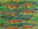 Brook Trout.jpg